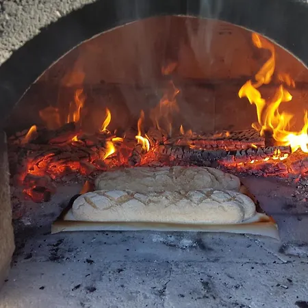 La Fermette De Loucheyre Saint-Amandin