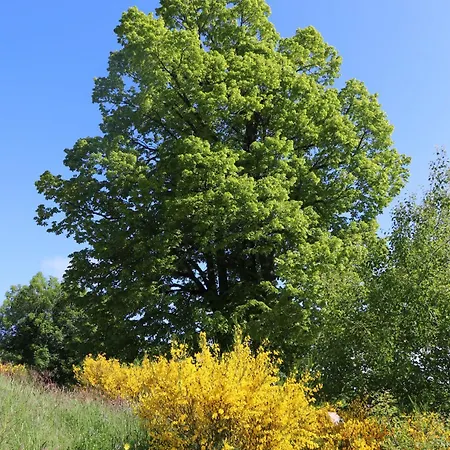 La Fermette De Loucheyre